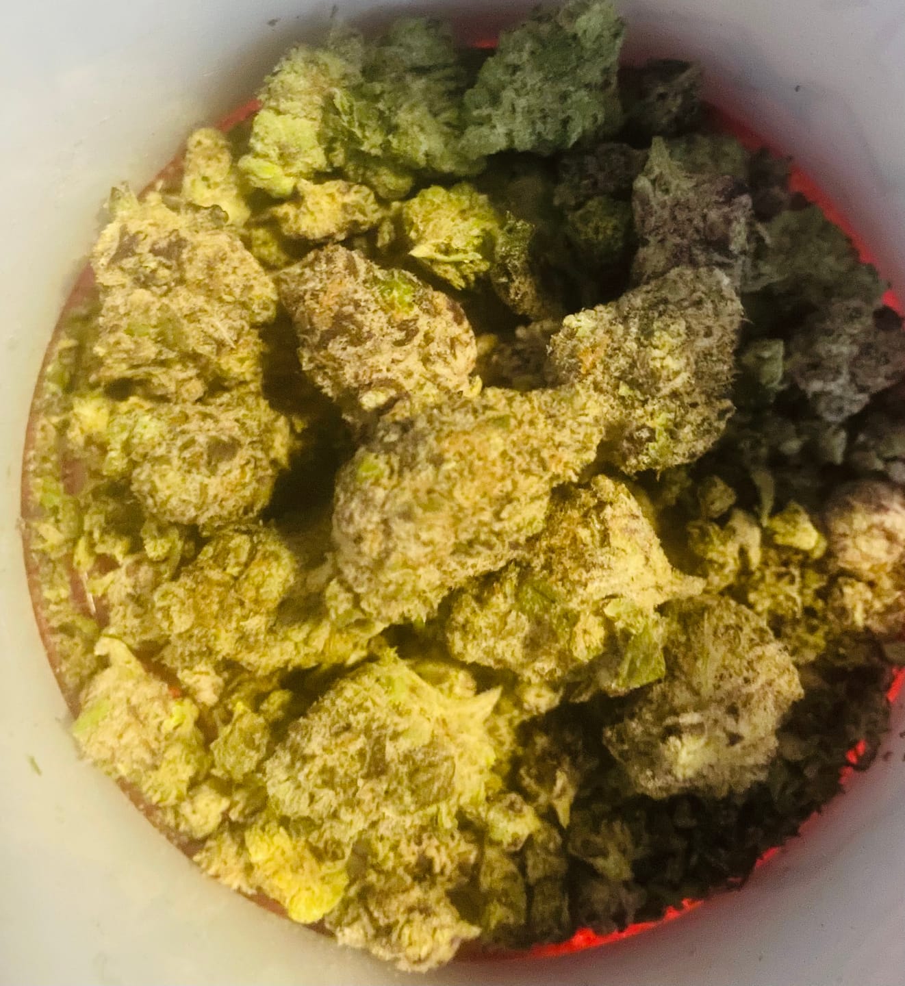 Customer photo review of Blueberry Lemon Bars - Indoor - 14 Grams - Hybrid