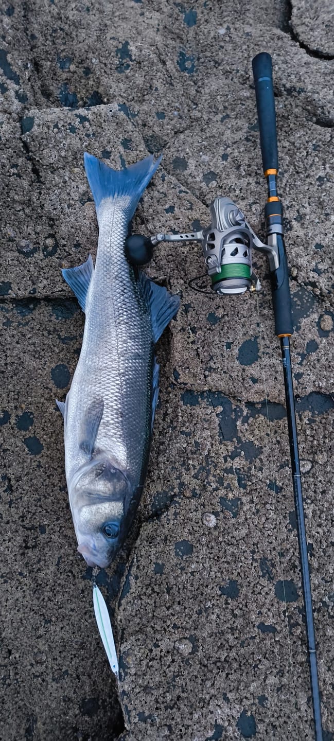 Customer photo review of SaltX II ArmourTech Reel
