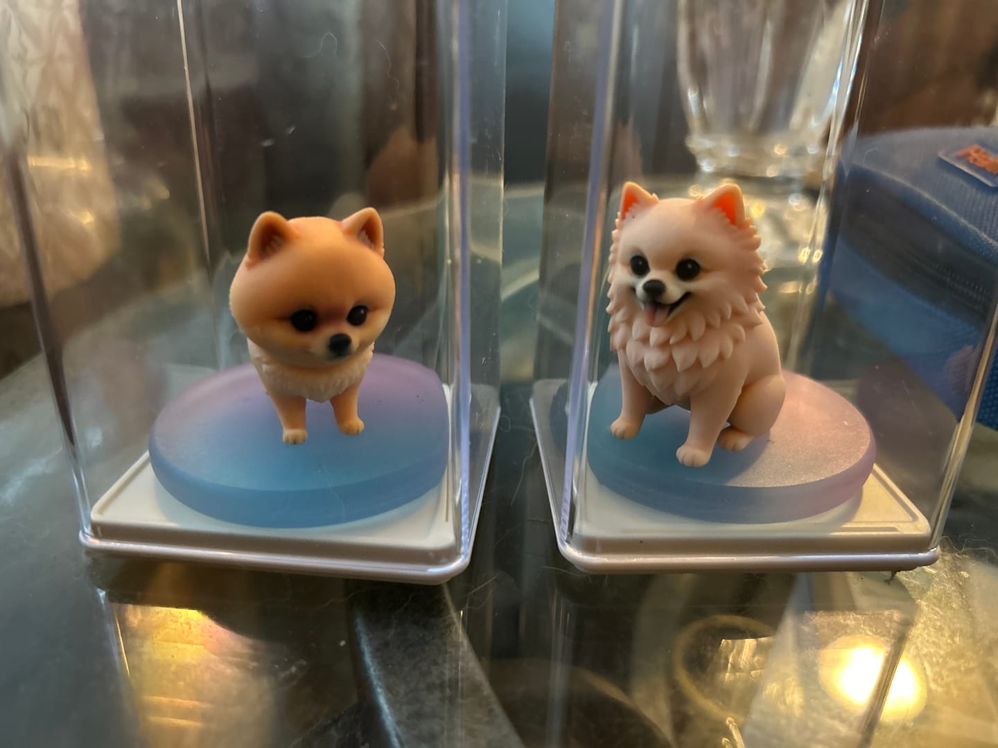 Customer photo review of Dust-Proof Acrylic Display Case