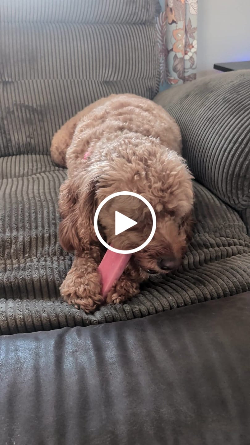 Customer video review of Strawberry Yak Chew — Vitamin C, Fiber & Teeth Whitening