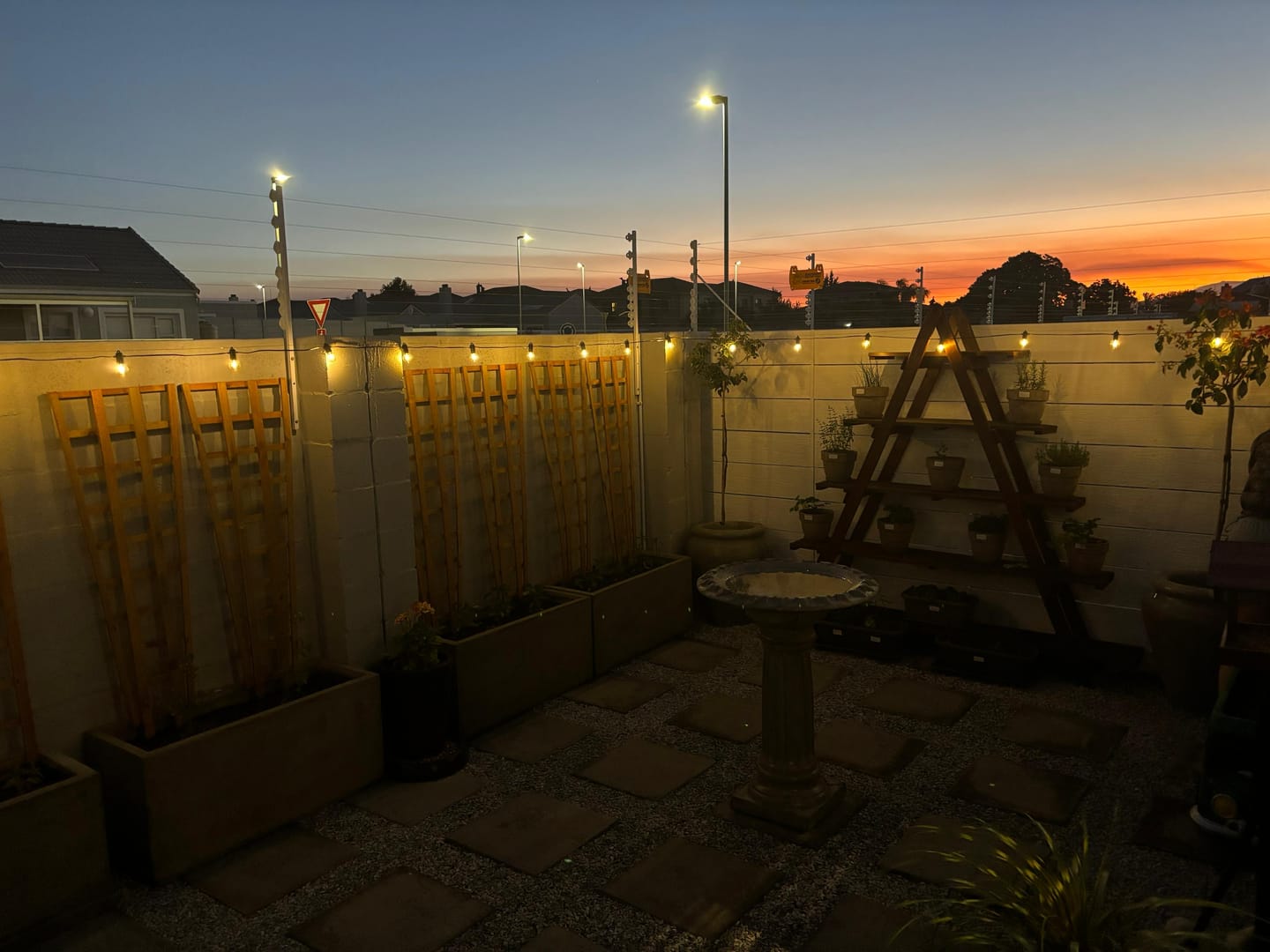 Customer photo review of Solar Mini Bulb String Lights