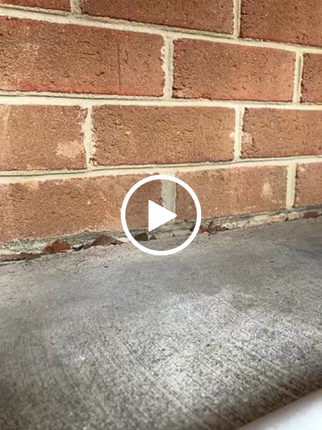 Customer video review of Bolla Bubbler