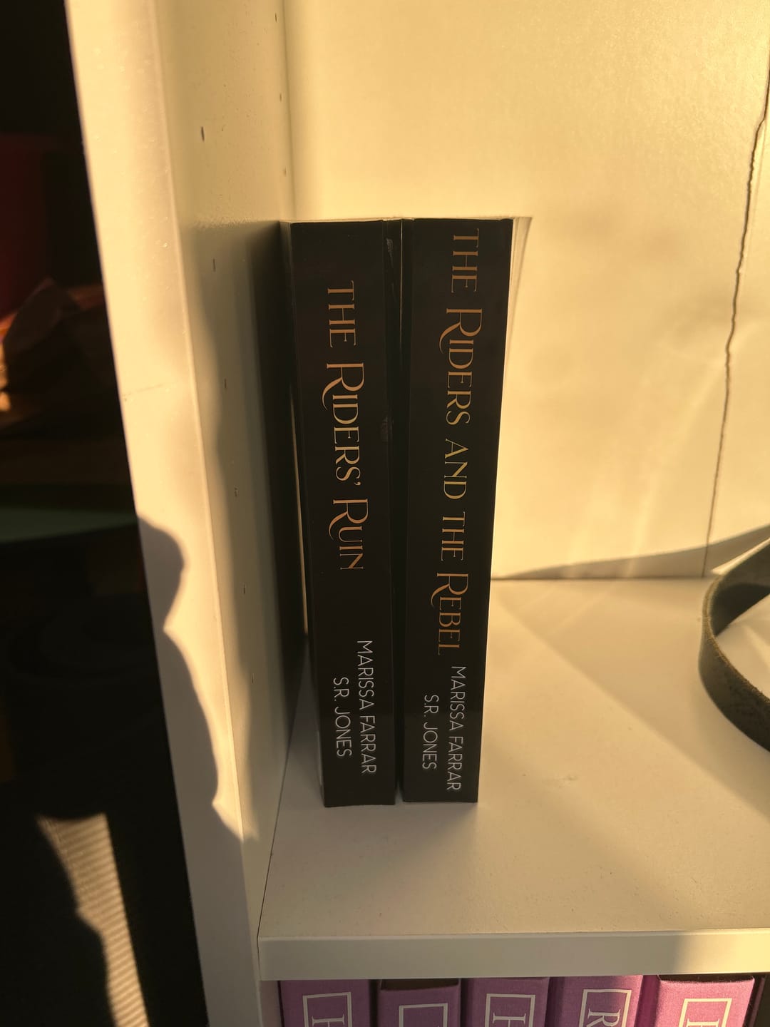 Customer photo review of The Riders and The Rebel Paperback