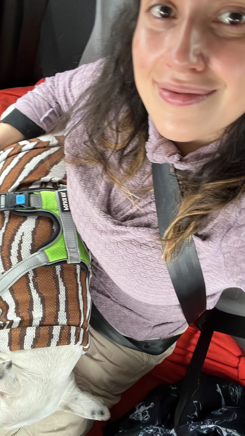 Customer photo review of Chaleco Zebra Café