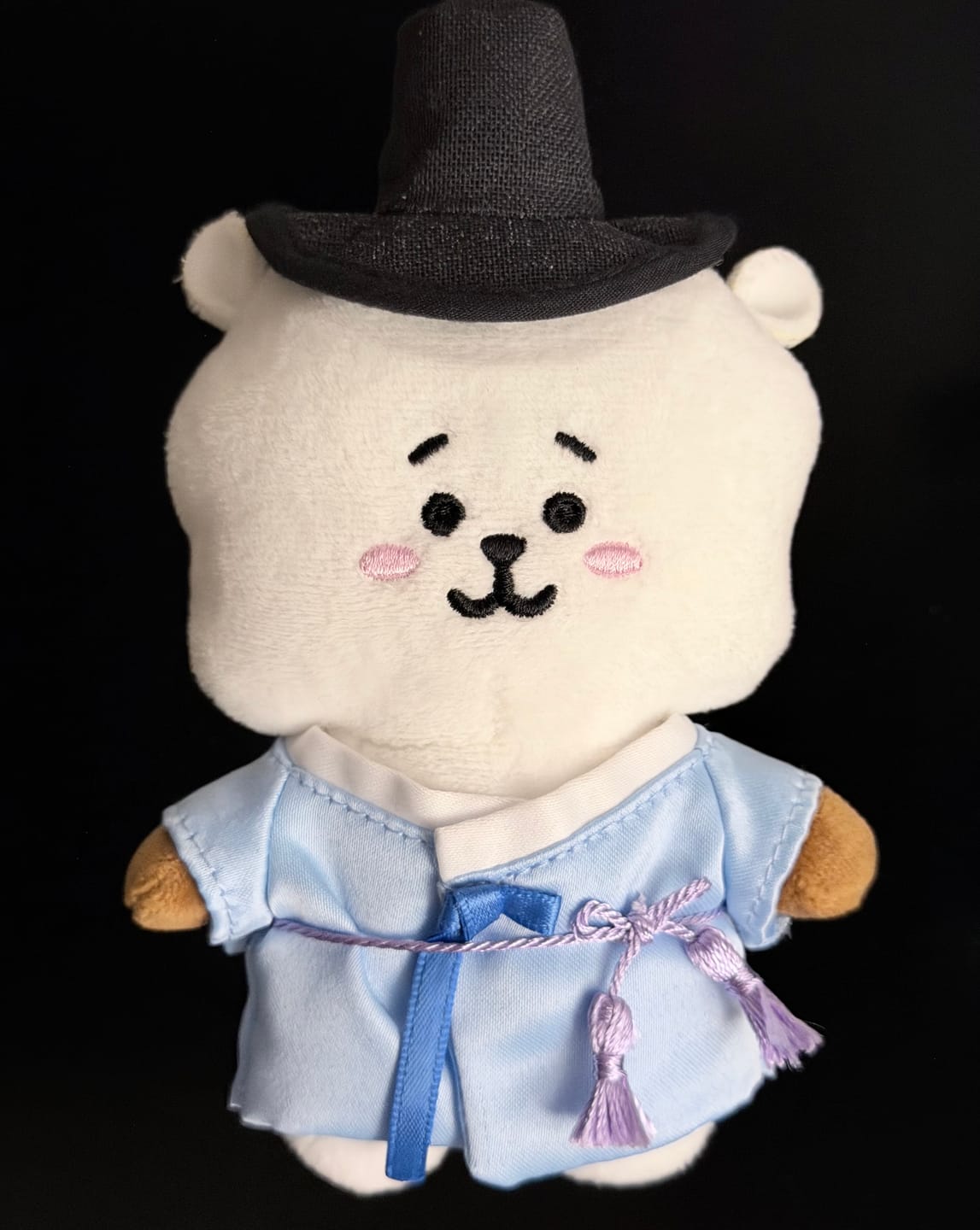 Customer photo review of BT21 - K-SEONBI PLUSH DOLL