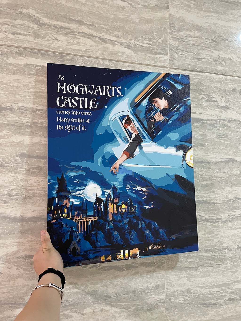 Customer photo review of Harry Potter - Vol de l'Anglia vers Poudlard