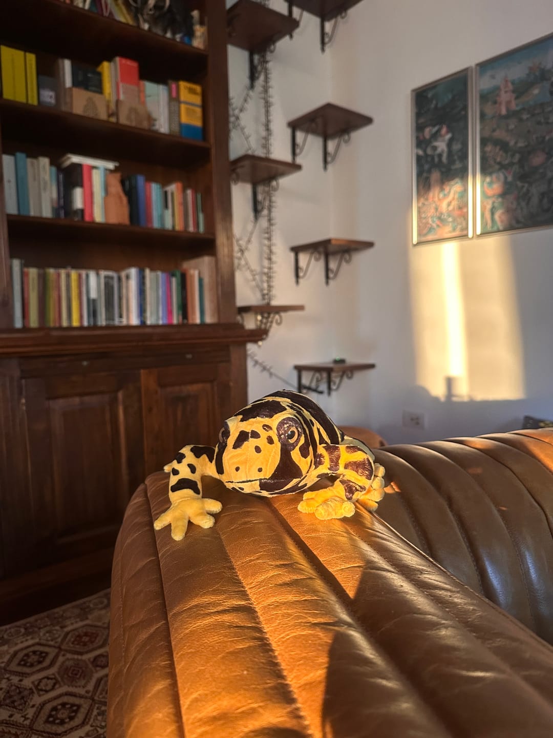 Customer photo review of Poison Dart Frog Soft Stuff Plush Toy