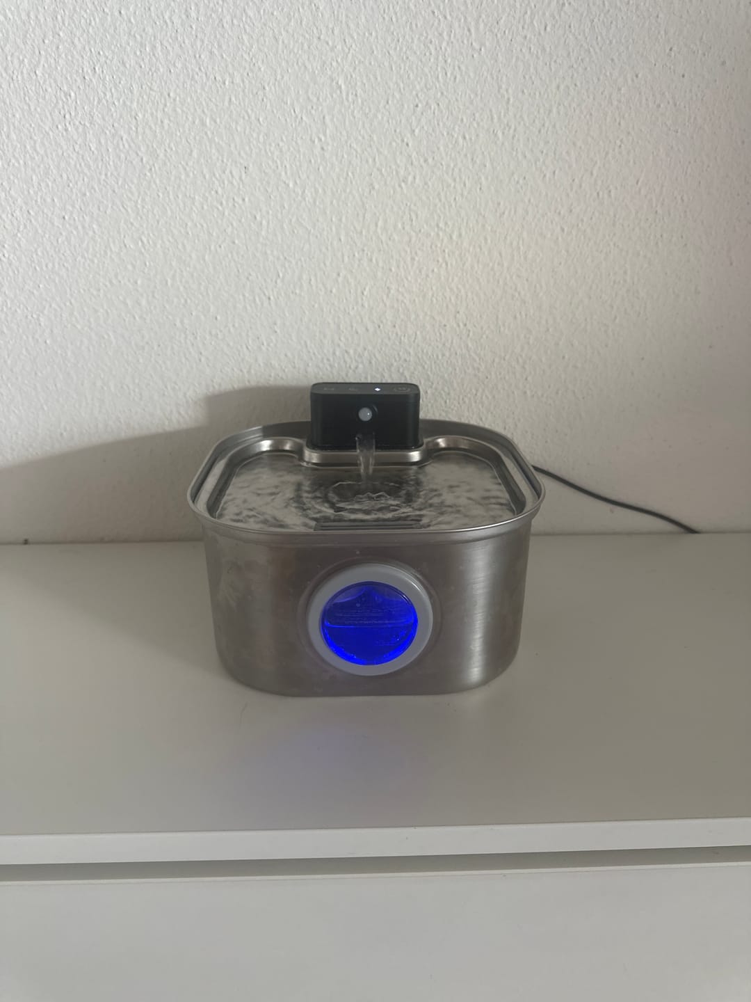 Customer photo review of PfotenBrunnen™ - Katzenwasserspender