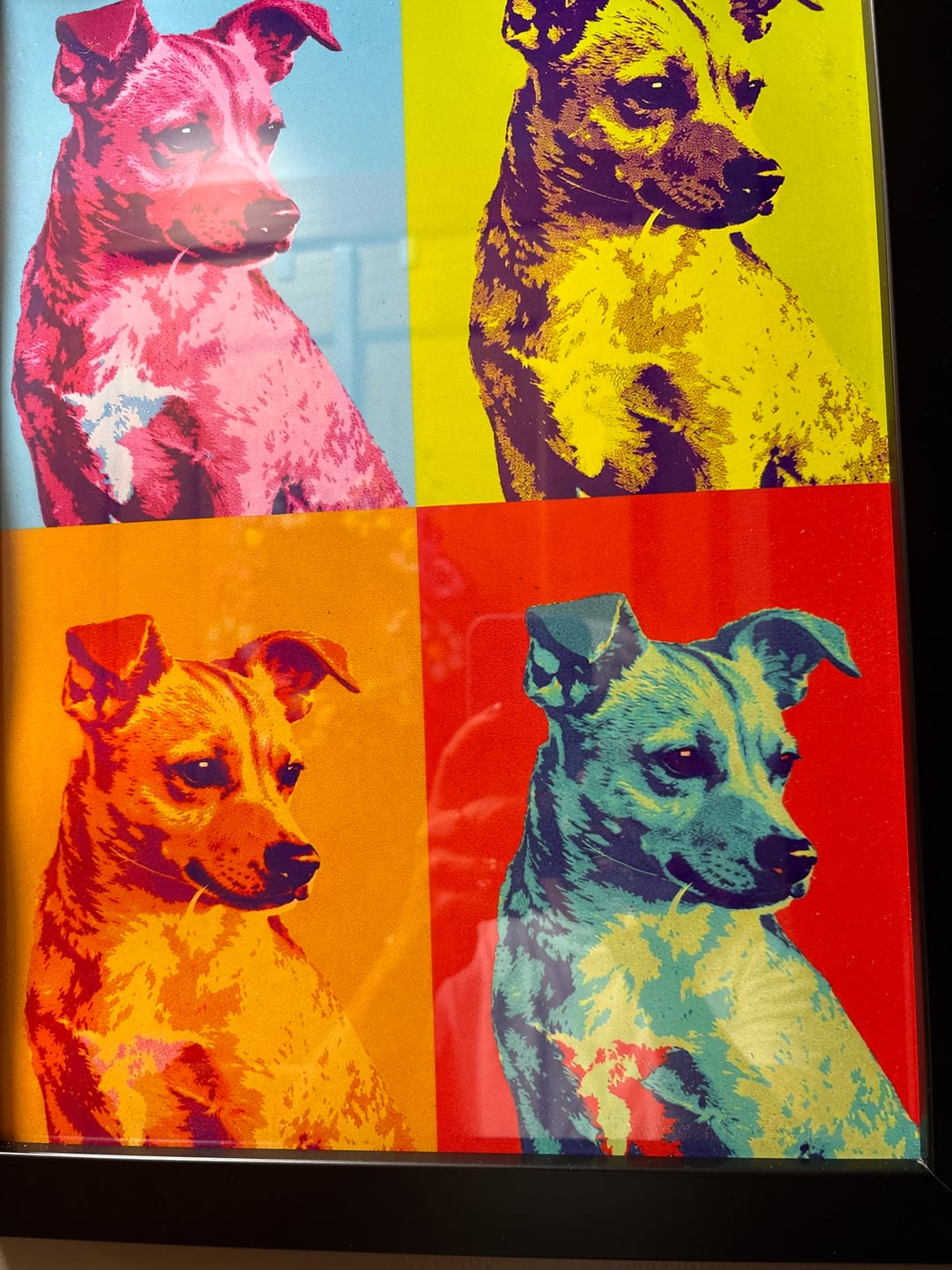Customer photo review of Color Squares - Personalized Poster
