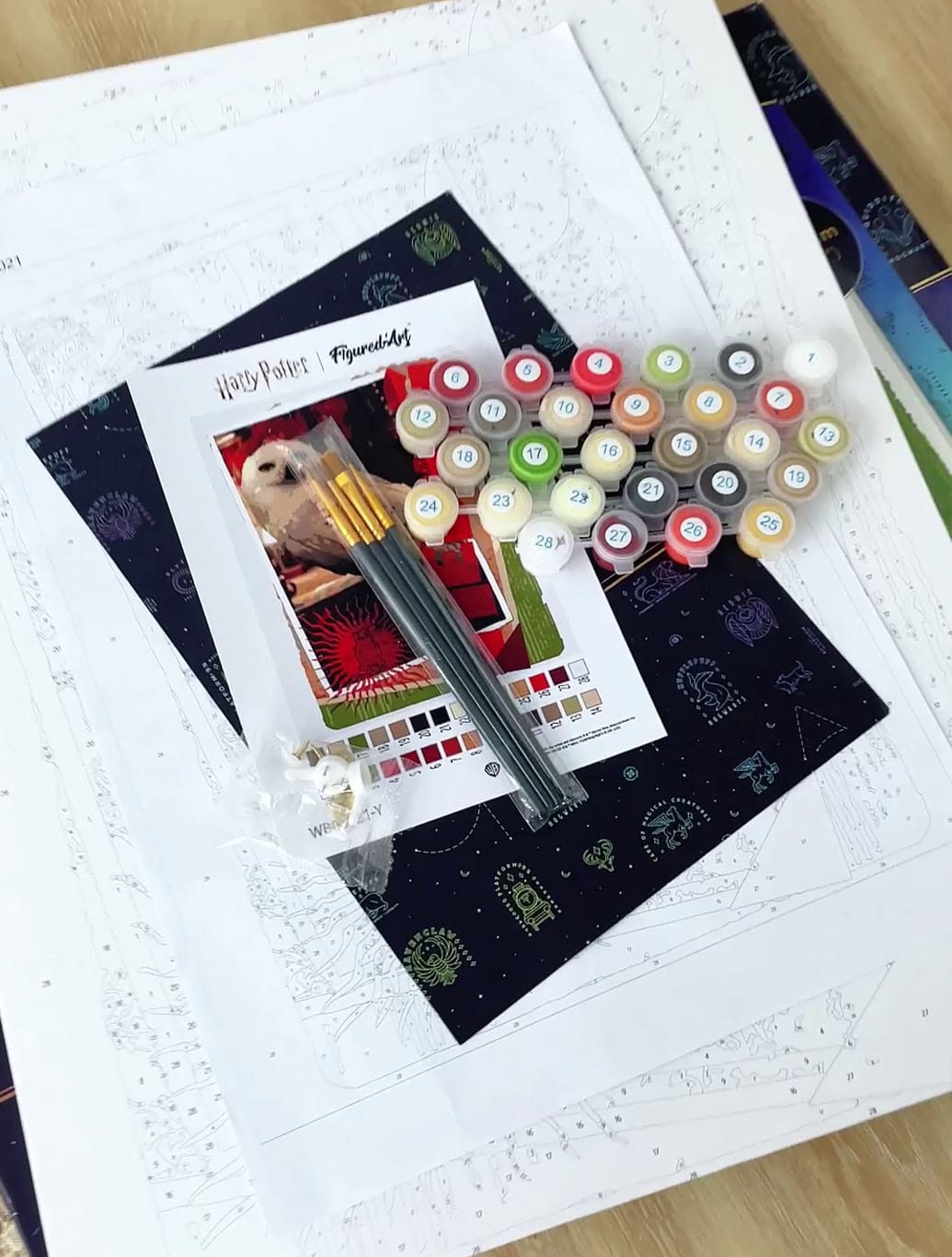Customer photo review of Harry Potter - Carte Hedwige
