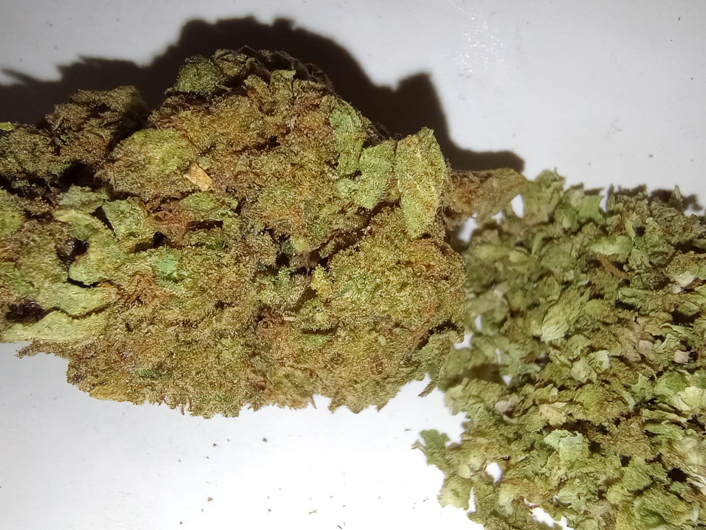 Customer photo review of Blueberry Syrup - 14 Grams - Indica