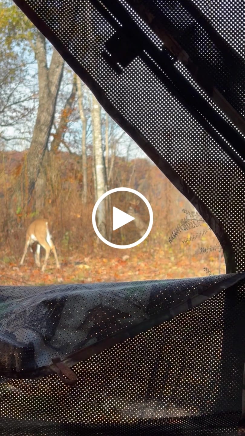 Customer video review of Vis360 See Through Ground Blind | 360° Camouflage Pop Up Hunting Blind for 2/3/4 Person | Portable Deer Blind with Orange Cover
