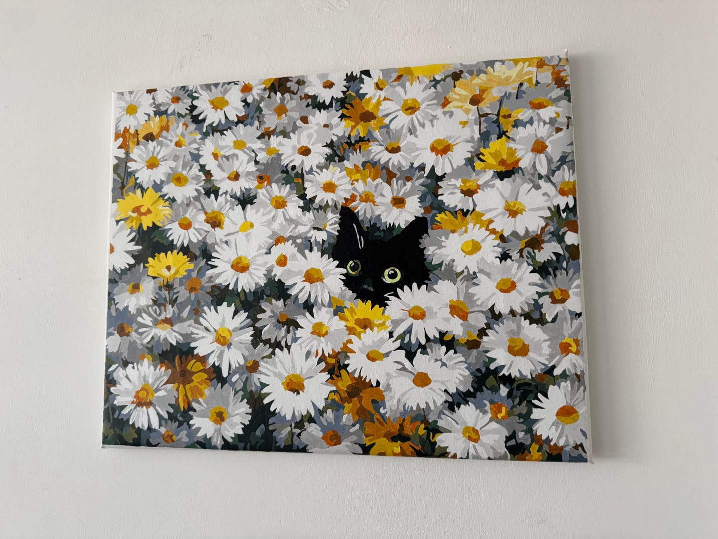 Customer photo review of Cat in the daisy field | Paint by Number