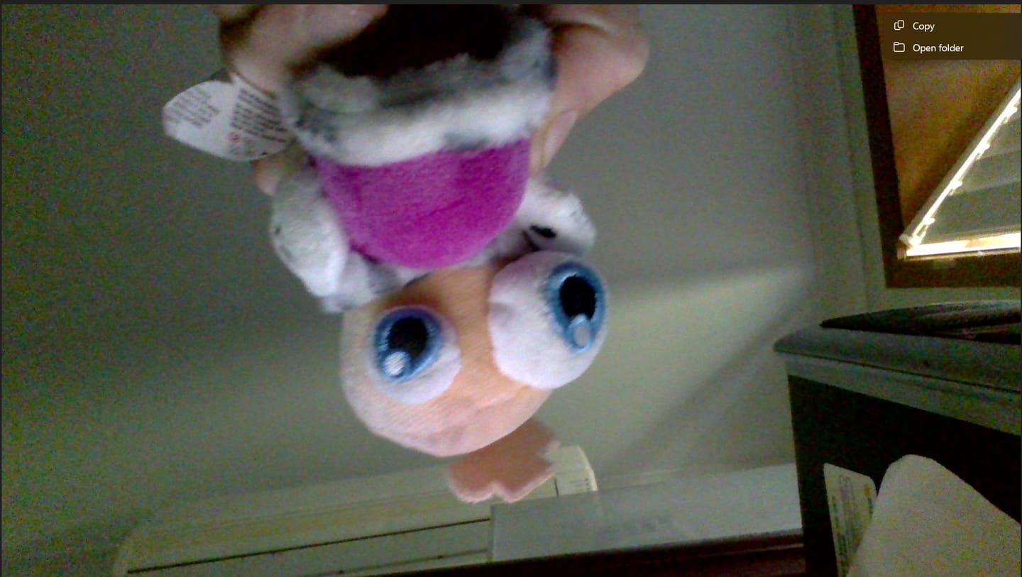 Customer photo review of Kinger & Queenie Magnetic Plush Keychains