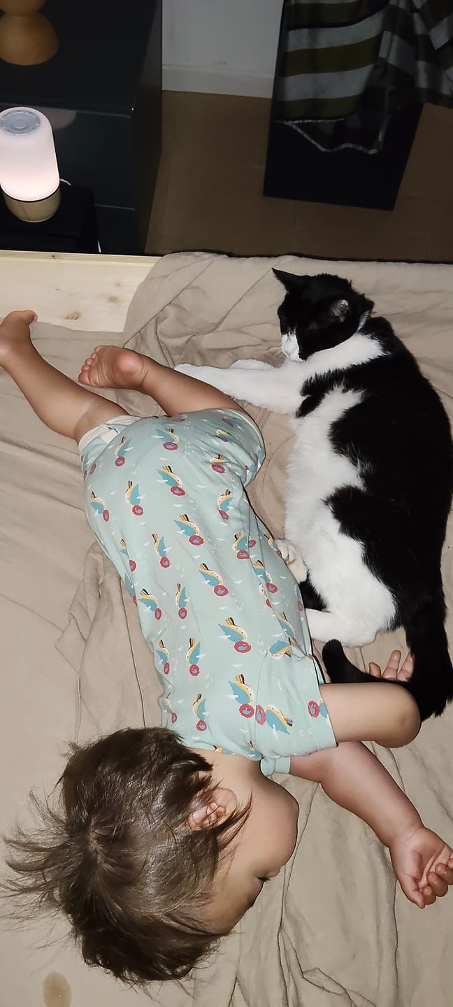 Customer photo review of Little Woodpecker Organic Shortie Romper