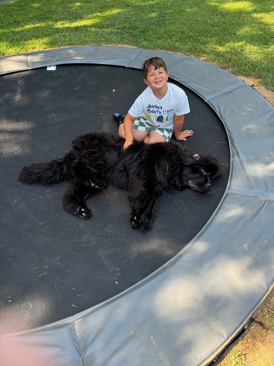 Customer photo review of Summer Bundle! 12' Round Pro-Line In-ground Trampoline + LED Lights + Cover