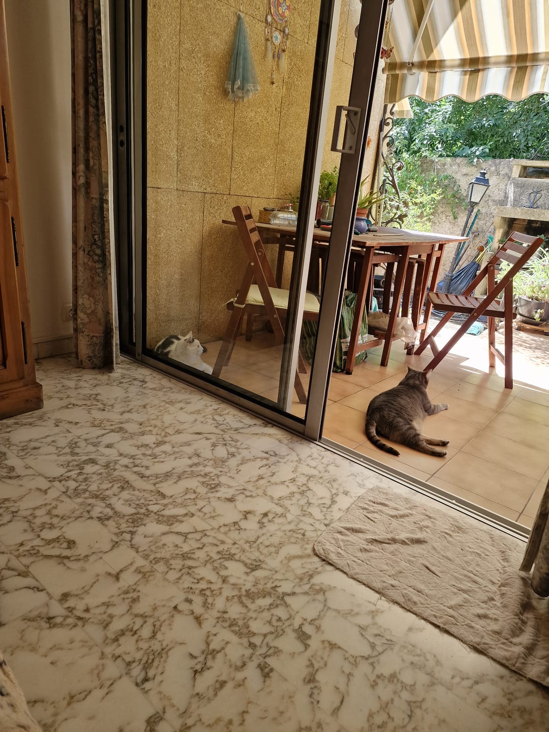 Customer photo review of Pâtées riches en volaille & aux courgettes (Chat stérilisé et Chat adulte)