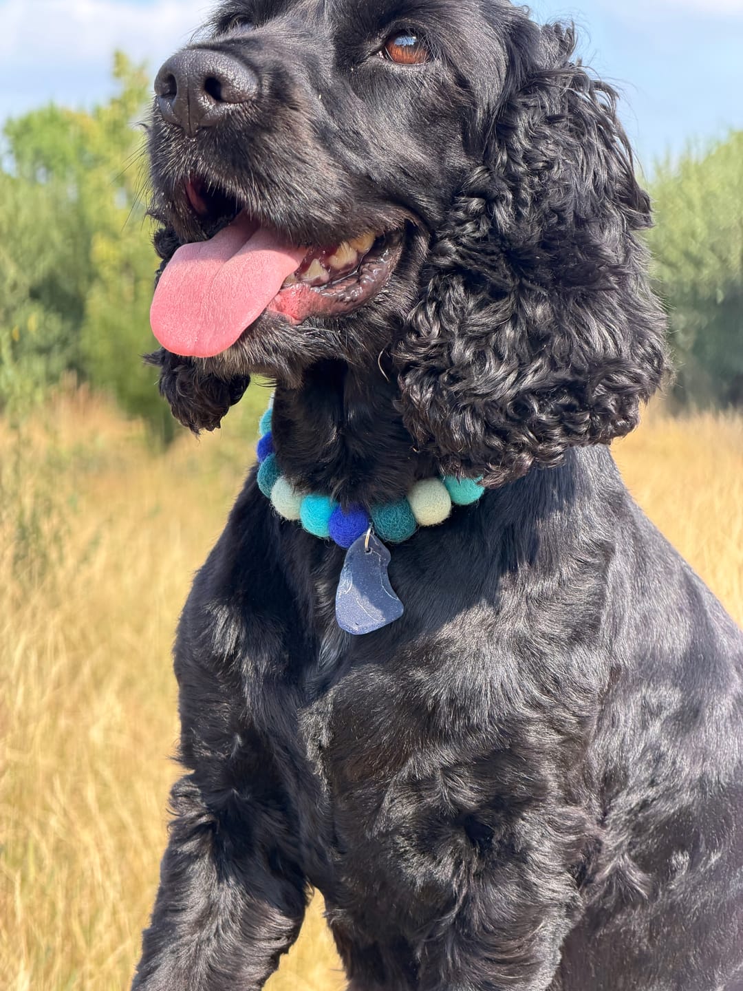 Customer photo review of Create your own Sea Glass Pom Pom Collar