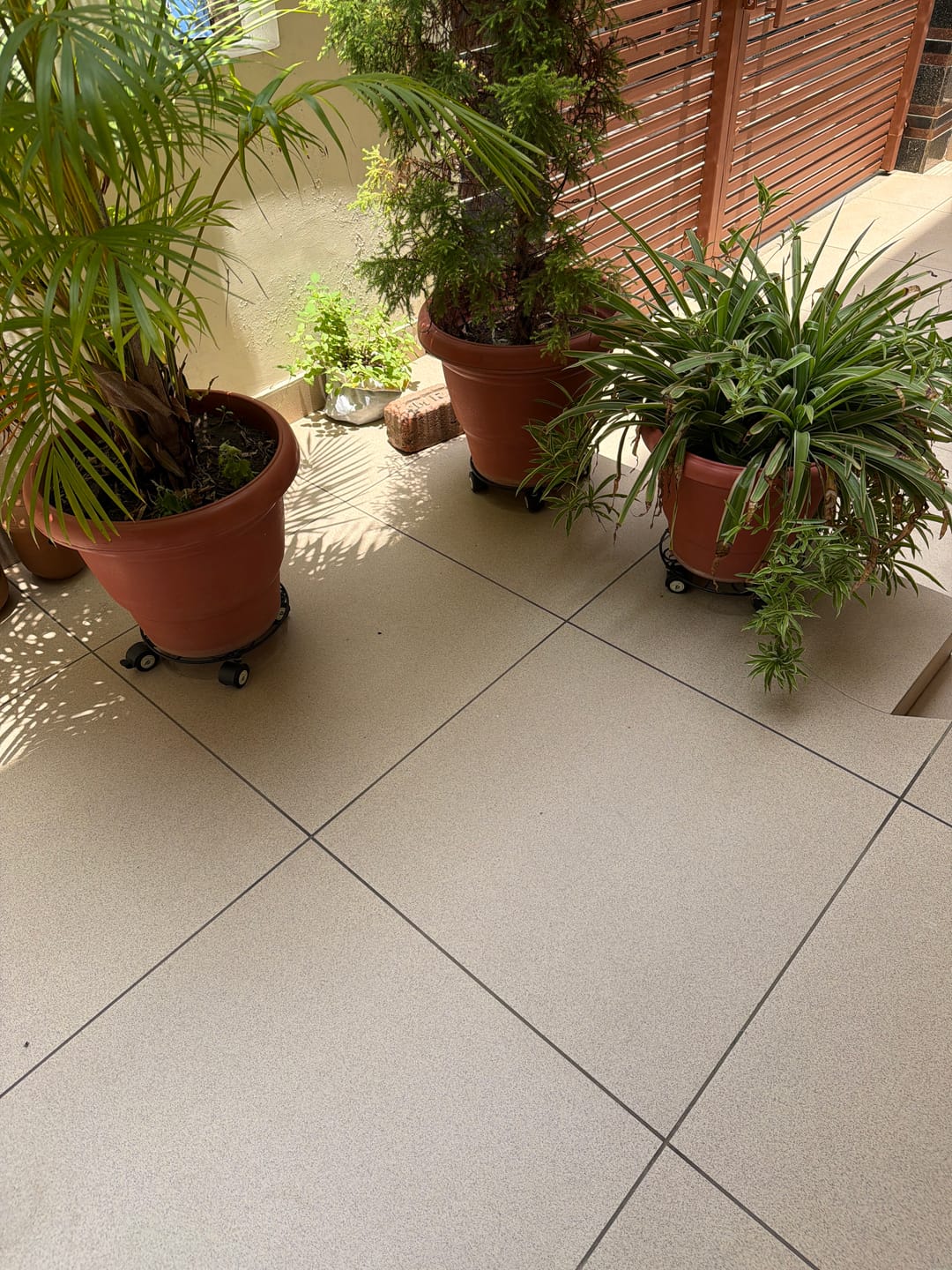 Customer photo review of TryGreen Luna Wheel Rolling Plant Stand for Planters
