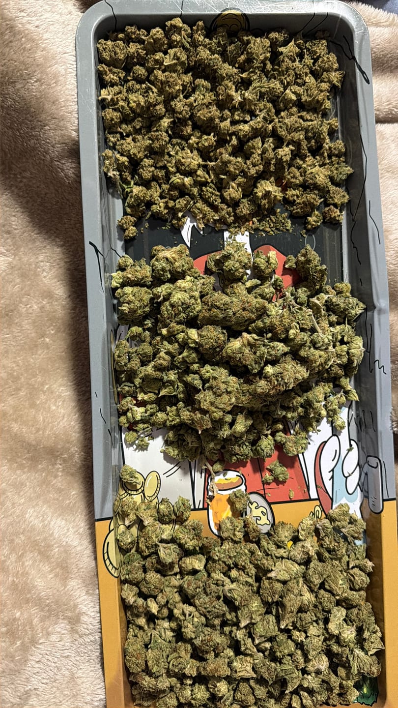 Customer photo review of Jager Sour Diesel - 28 Grams Littles - Sativa