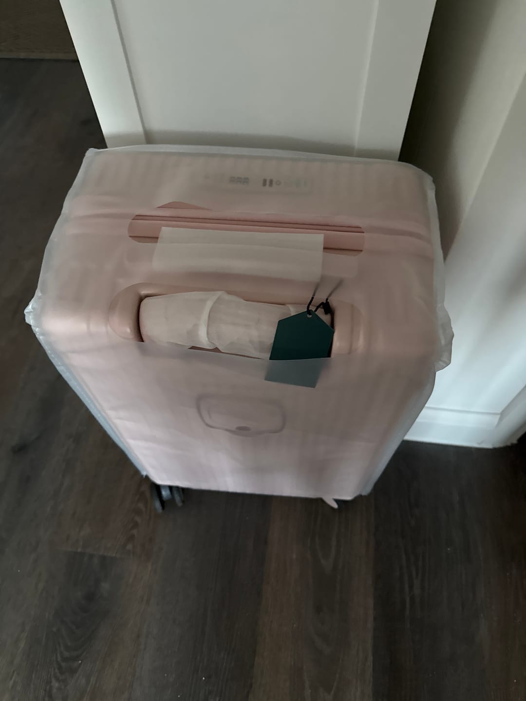 Customer photo review of Luggage Cover