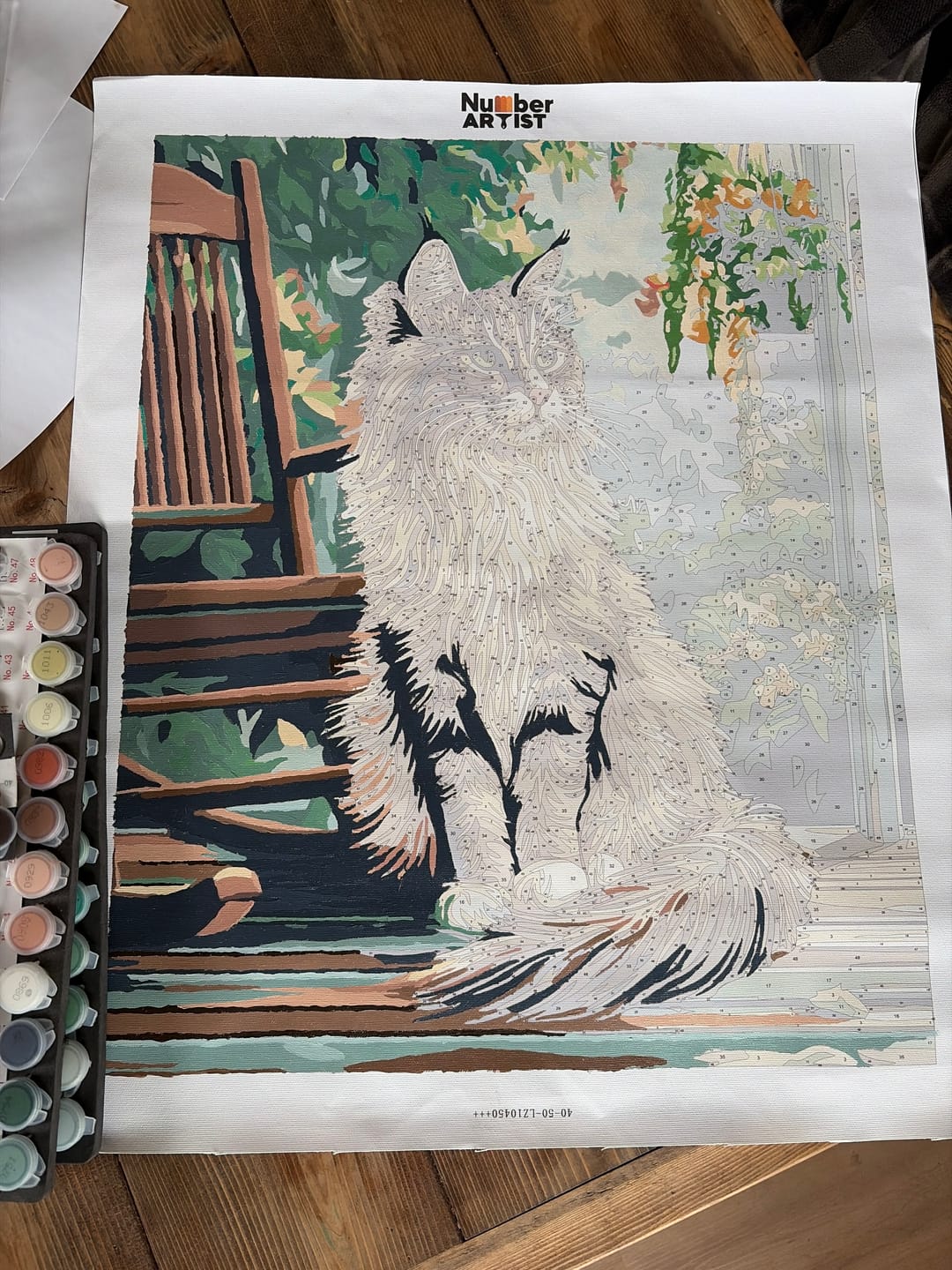 Customer photo review of Porch Maine Coon