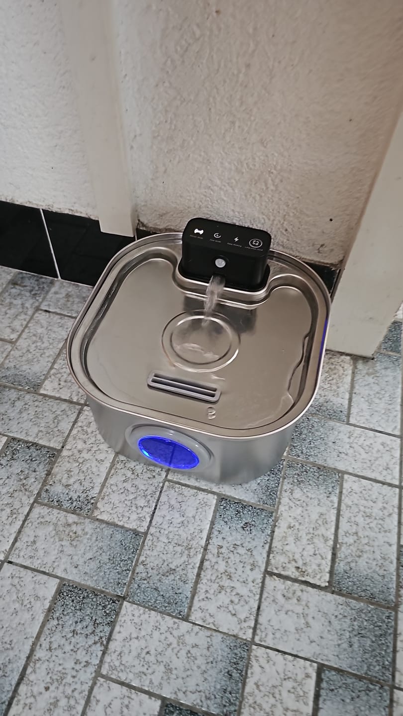 Customer photo review of PfotenBrunnen™ - Katzenwasserspender