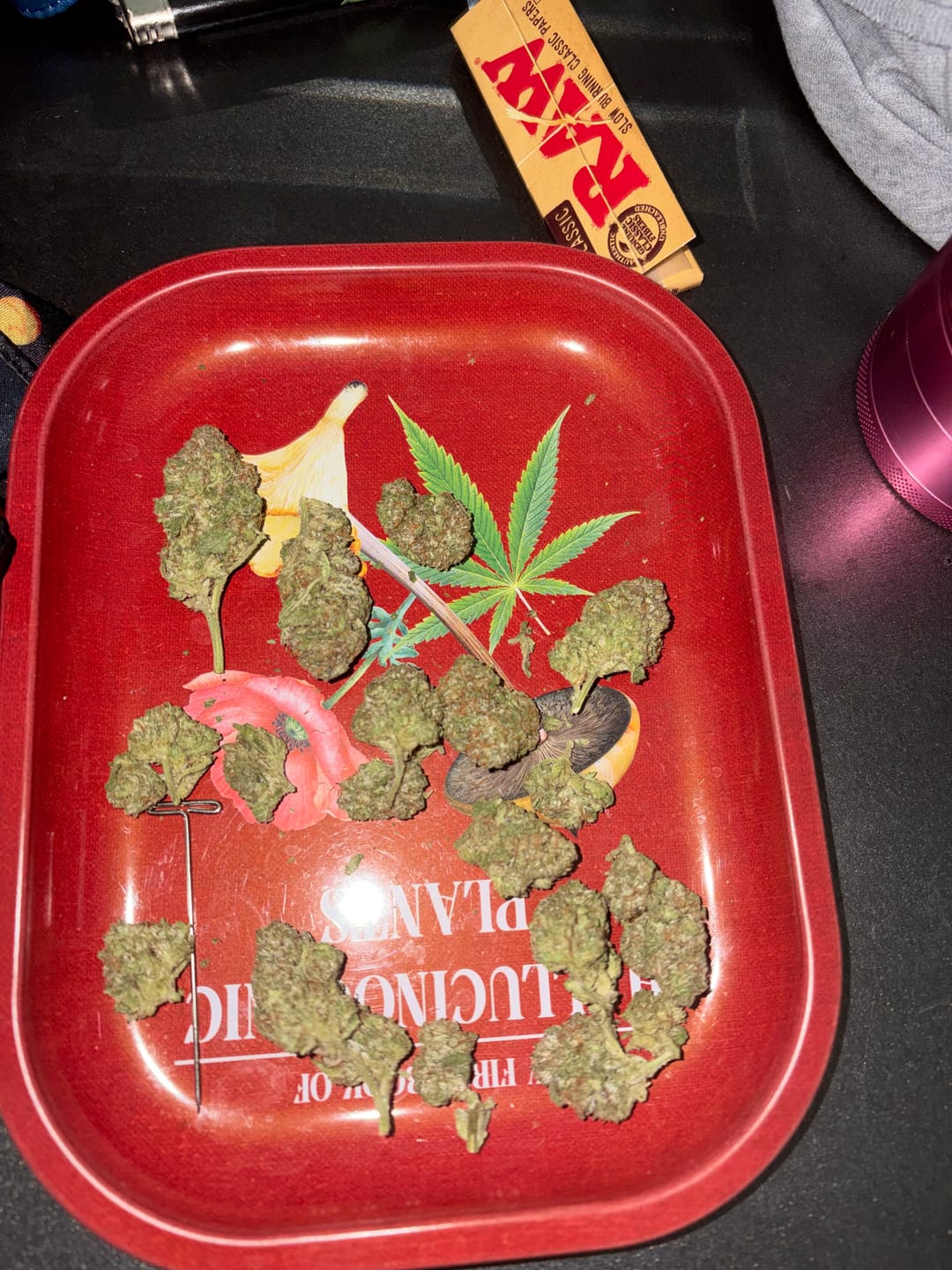 Customer photo review of Candy Cartel Light Assist THCA
