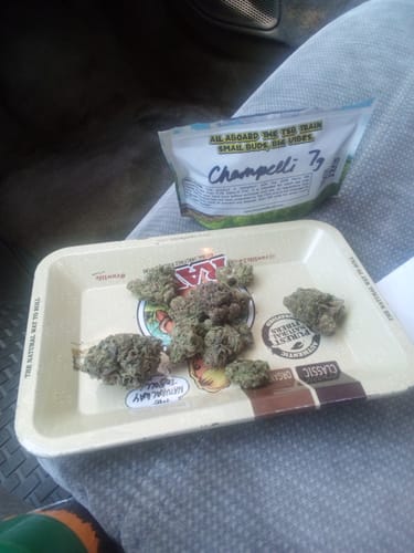 Customer photo review of Champelli THCA Flower