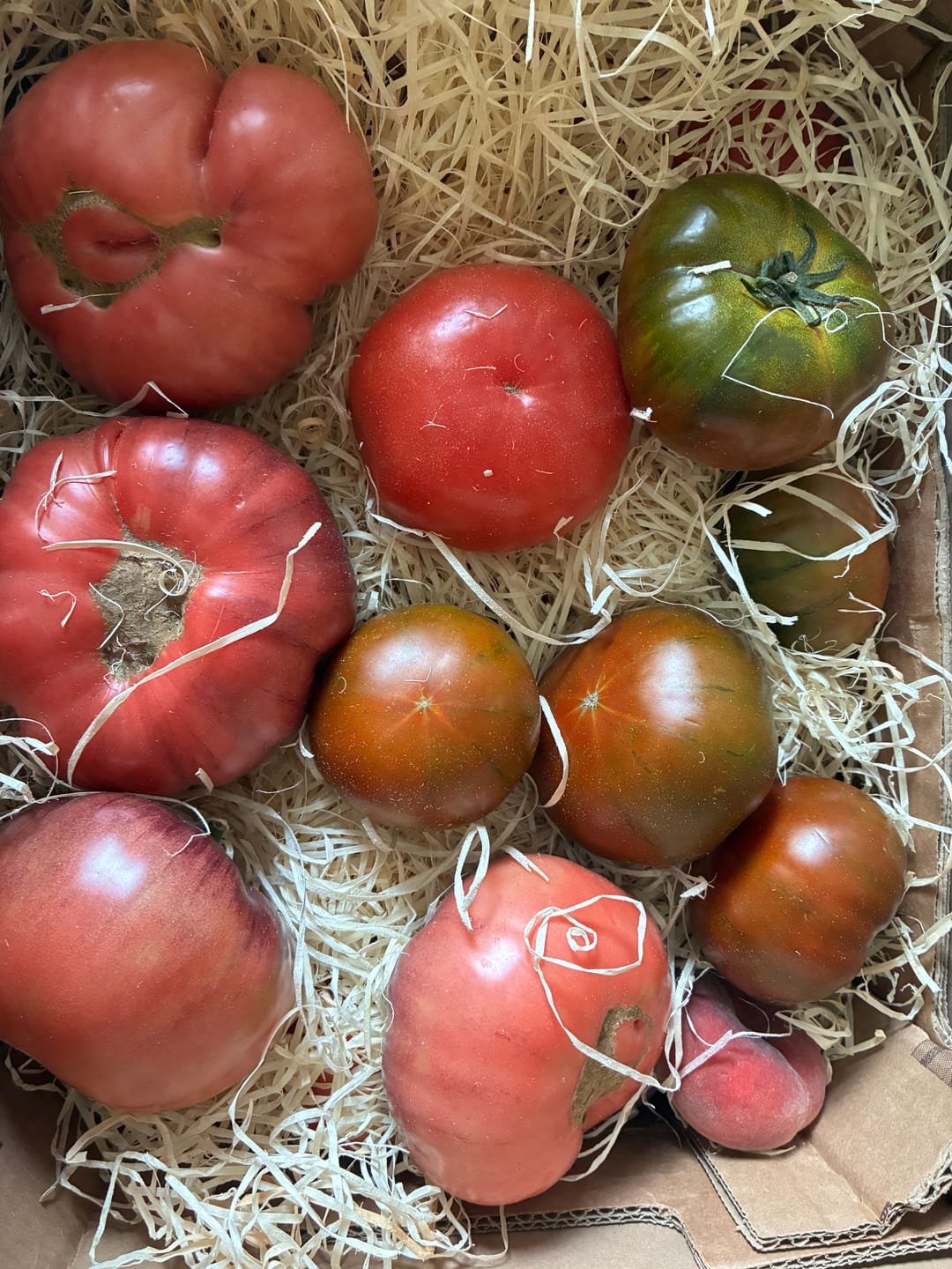 Customer photo review of Tomaten Mix von Julian Box 3kg Aktionswoche %