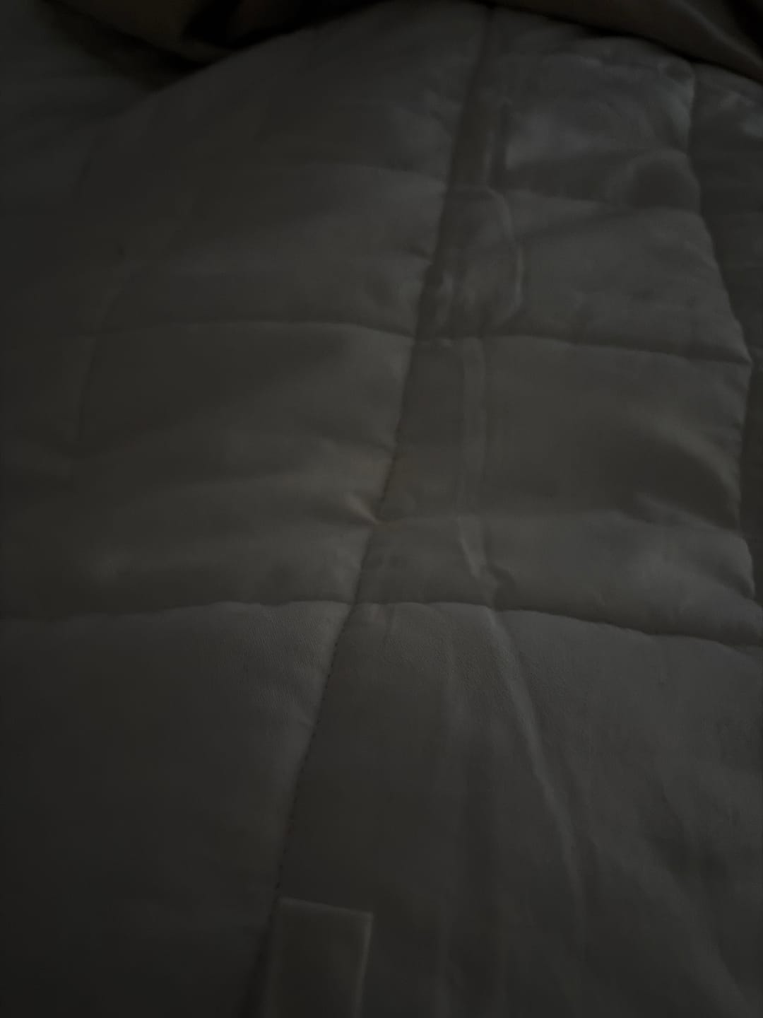 Customer photo review of Manta Pesada (PersonalPlus) - 100 noches de prueba / Algodón 100% natural