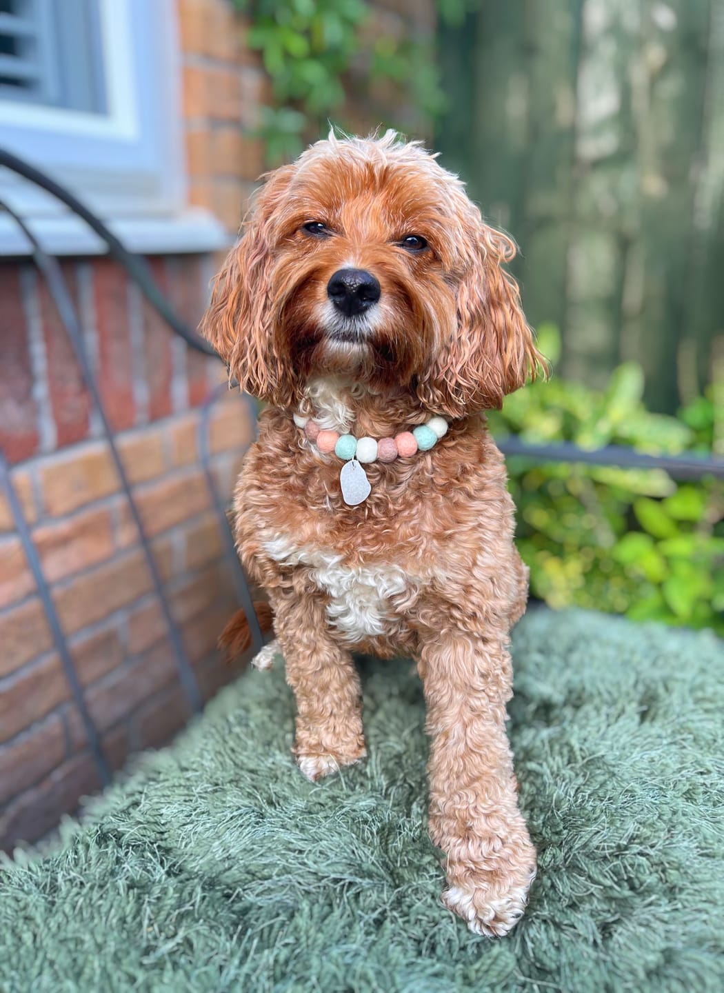 Customer photo review of Salt Kiss Cornish Sea Glass Pom Pom Collar