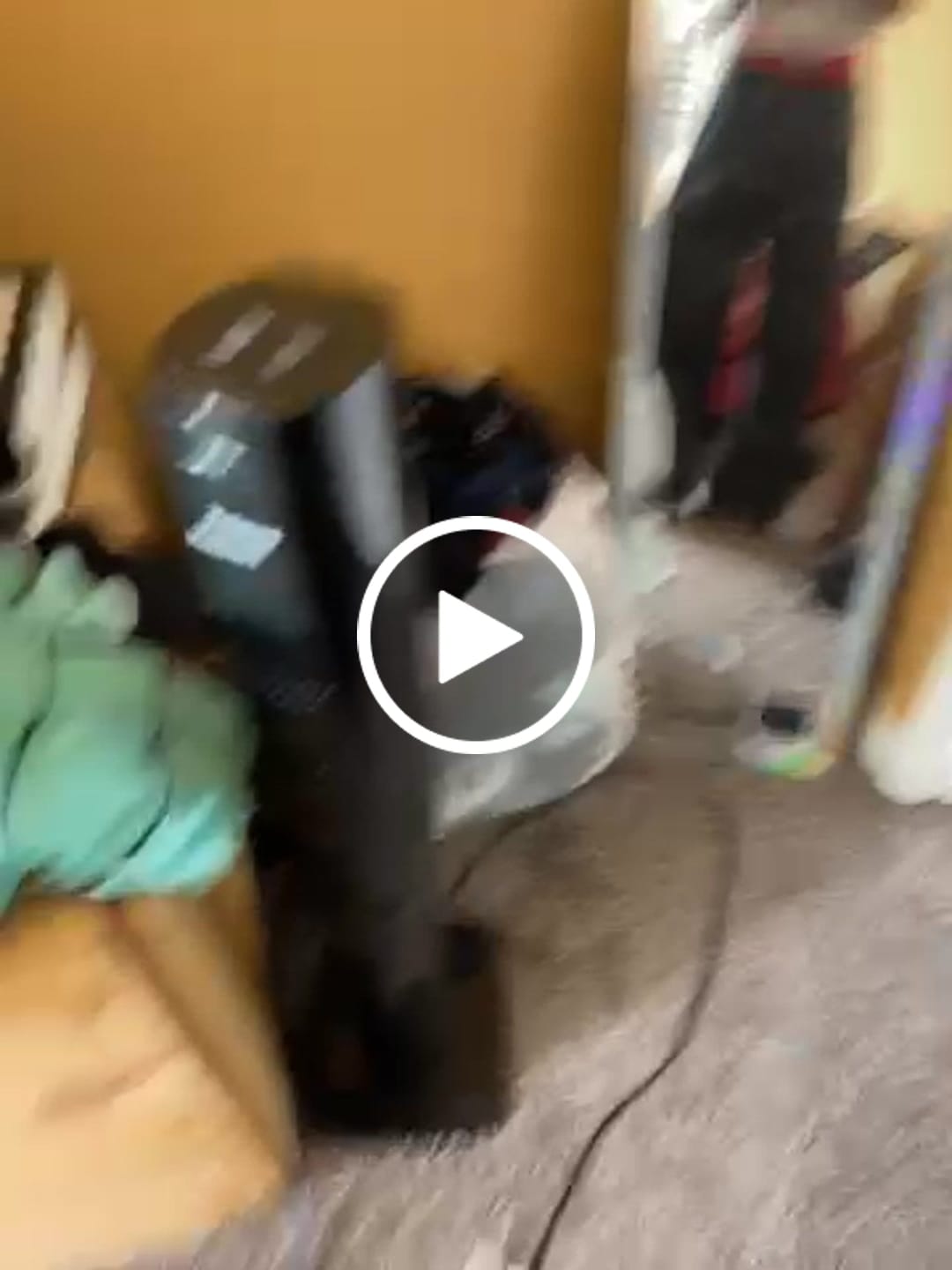 Customer video review of Jet Black Baggy Sweatpants