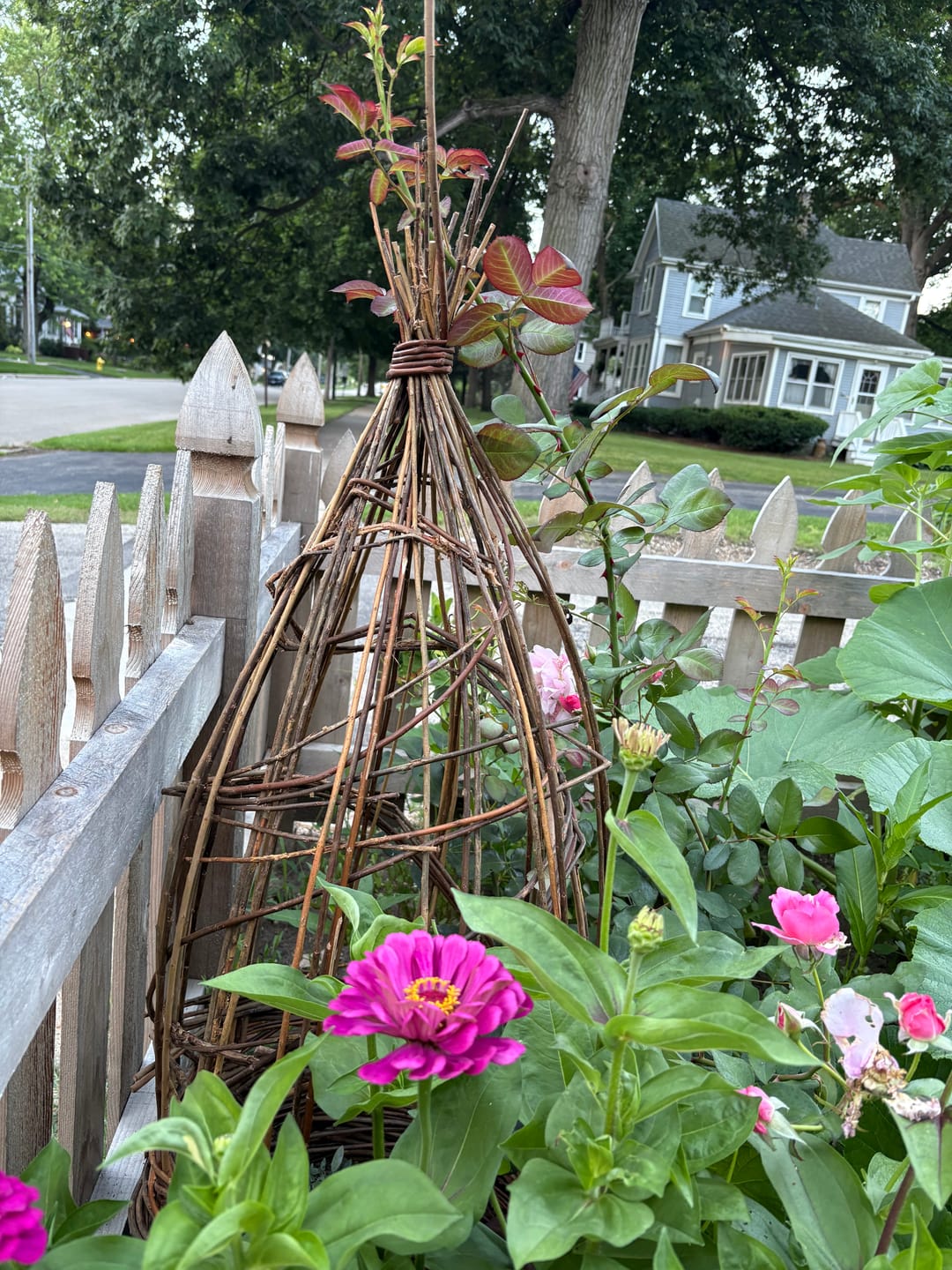 Customer photo review of The Willow Plant Support (3.8 Feet Tall)