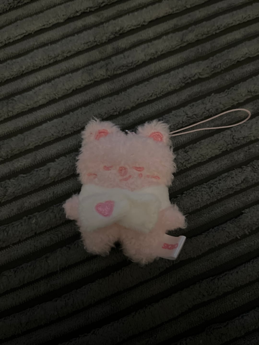 Customer photo review of [PRE-ORDER] STRAY KIDS - [STAY in Our Little House] SKZOO SECRET PLUSH MICRO Ver