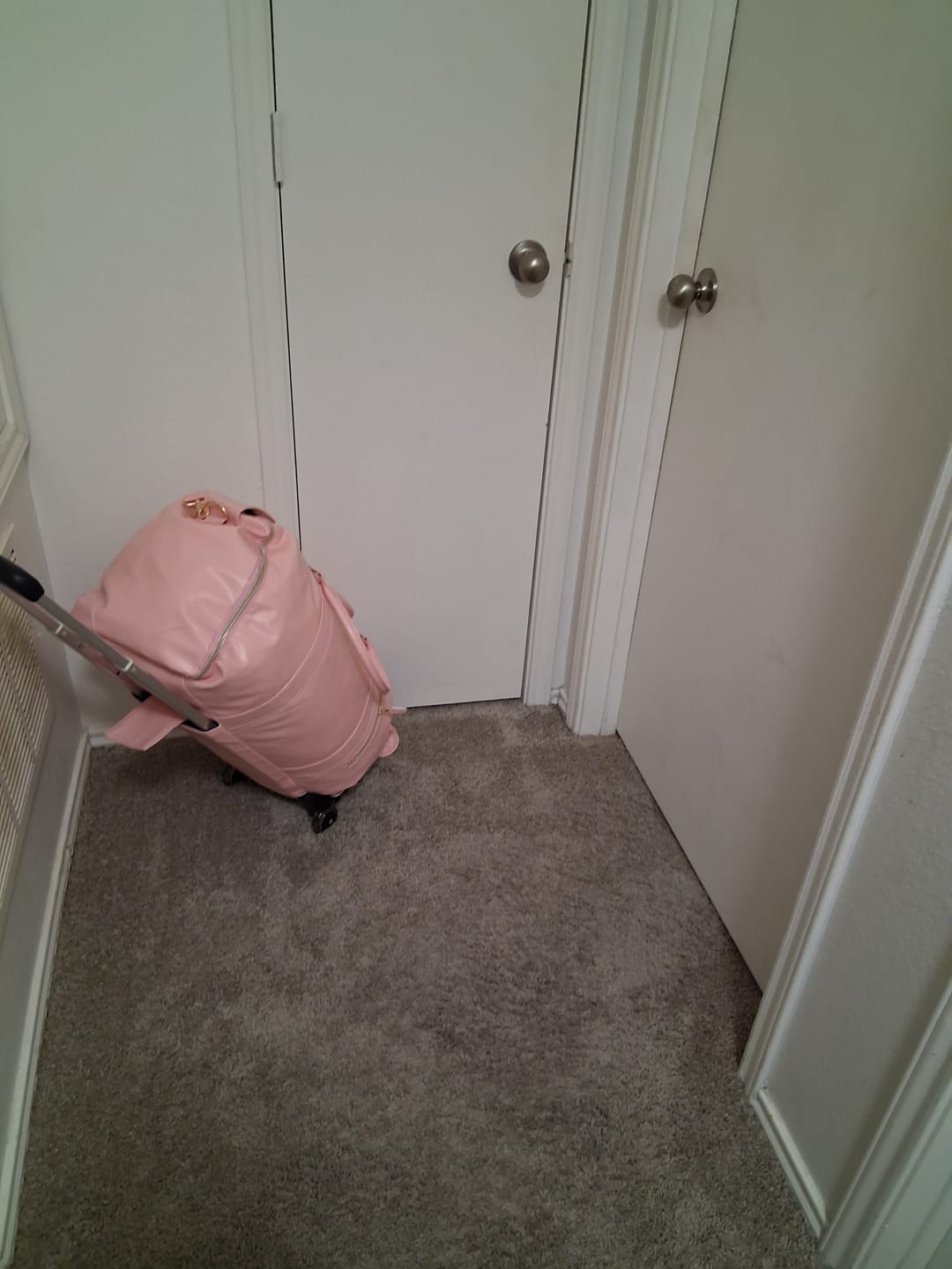 Customer photo review of Luux Intima Pouch