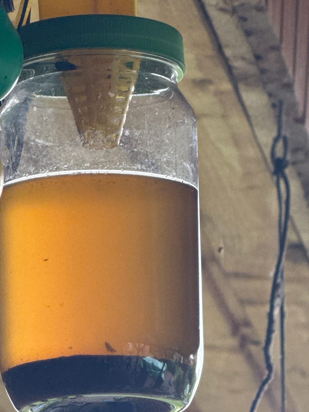 Customer photo review of HorseSafe LiquidTrap – Schluss mit Fliegenstress auf deinem Hof