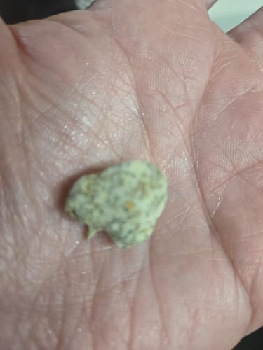 Alien OG - 4 Grams - Indica photo review