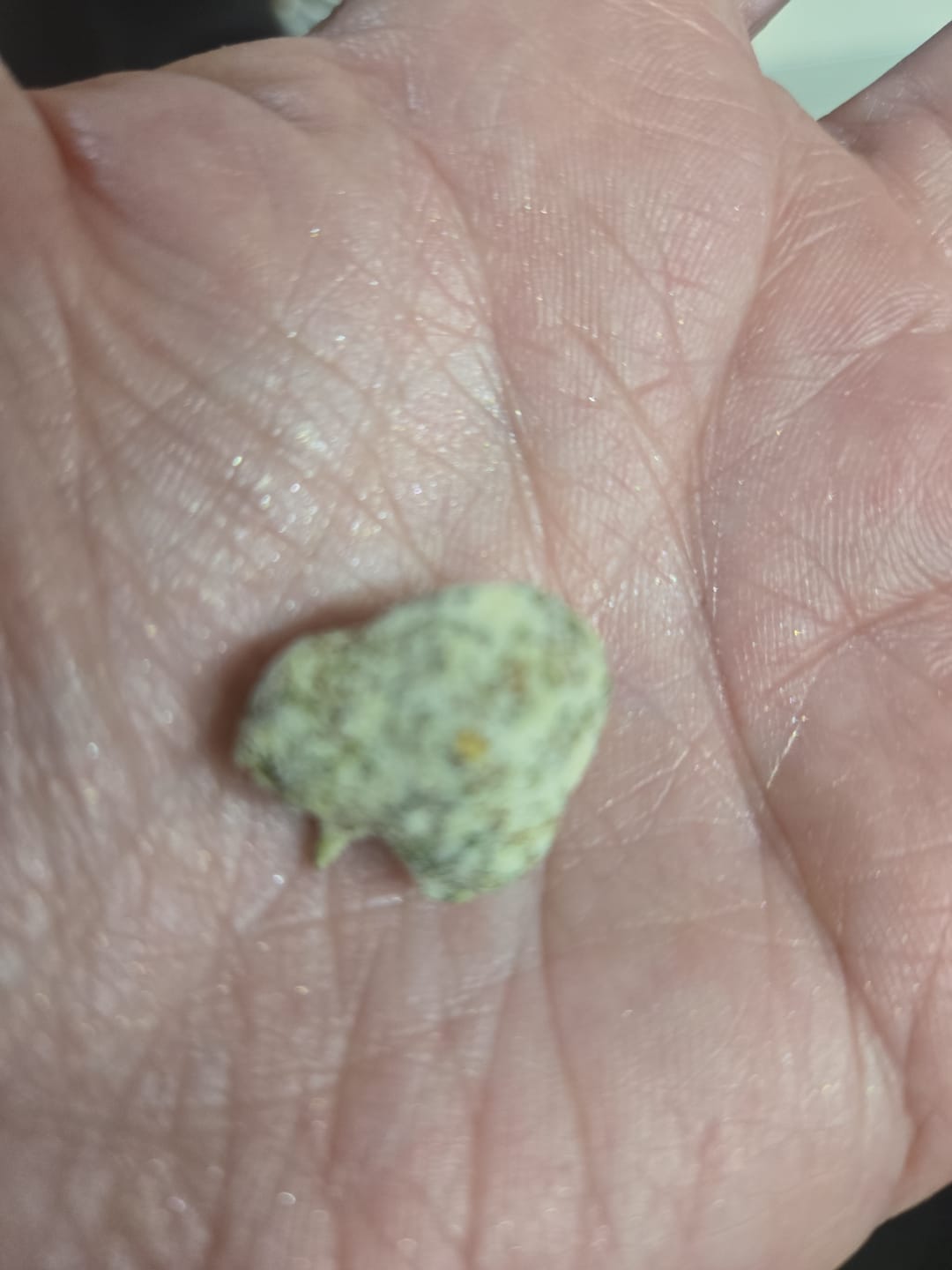 Customer photo review of Alien OG - 4 Grams - Indica
