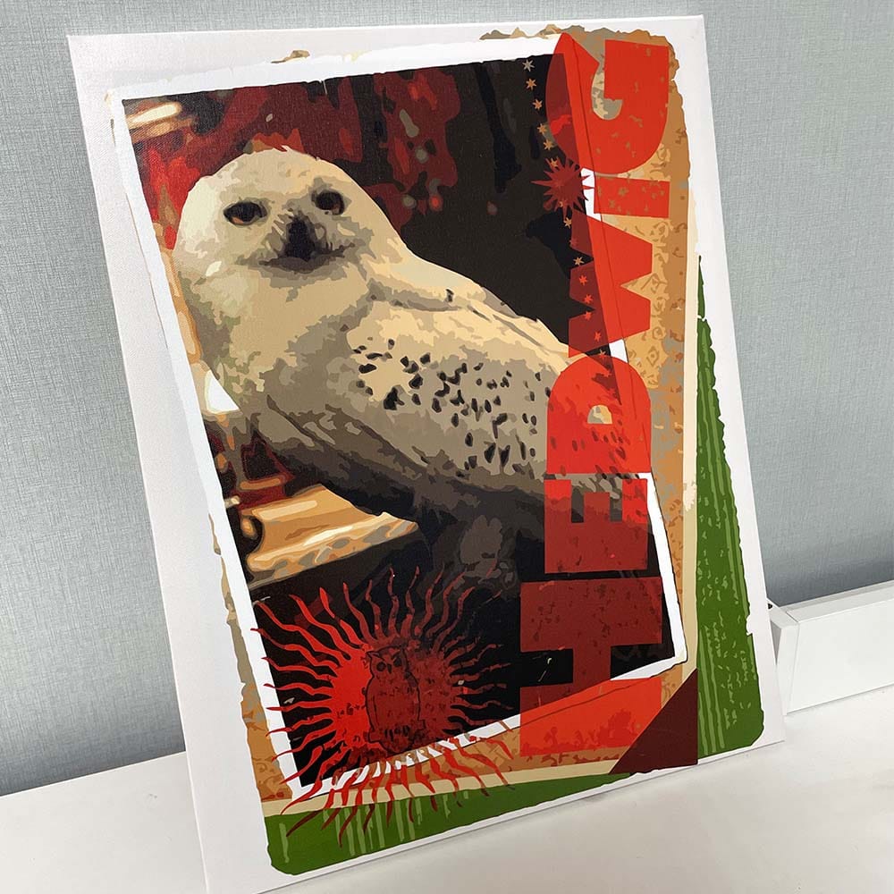 Customer photo review of Harry Potter - Carte Hedwige