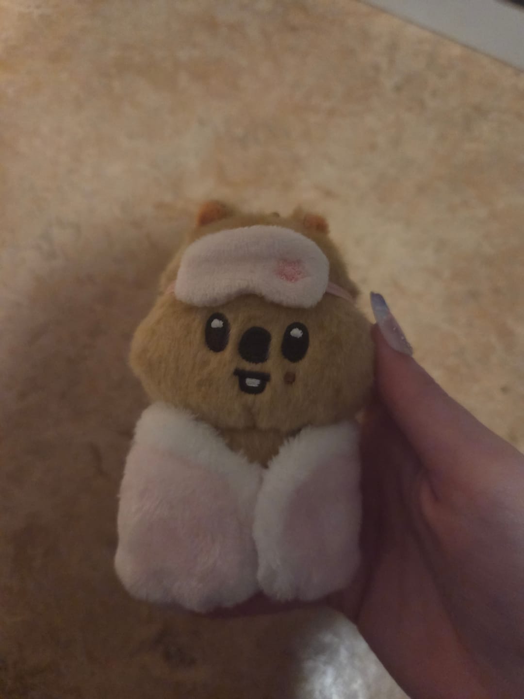 Customer photo review of STRAY KIDS [STAY in Our Little House] SKZOO Plush (10cm ver)