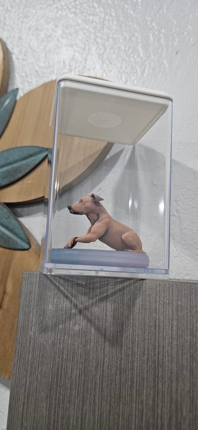 Customer photo review of Custom 3D Action Figure: Personalized 3D Figurine from Photo