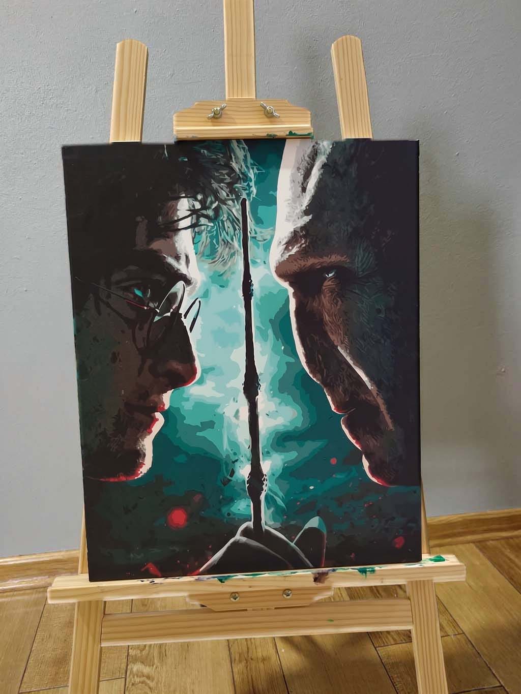 Customer photo review of Harry Potter contre Lord Voldemort