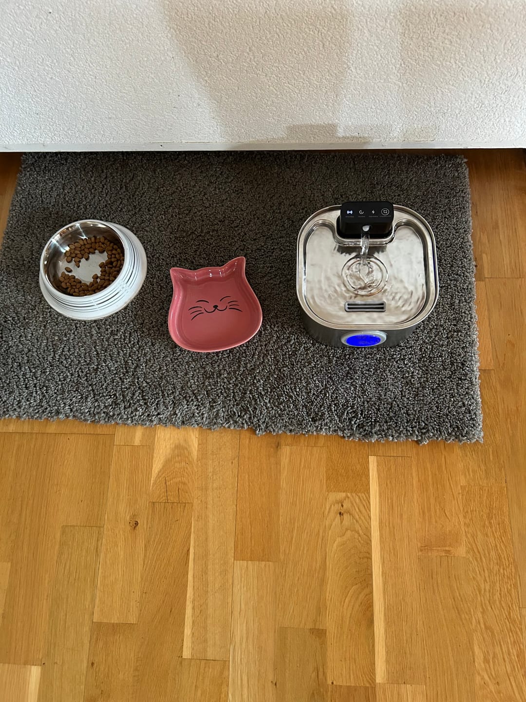 Customer photo review of PfotenBrunnen™ - Katzenwasserspender