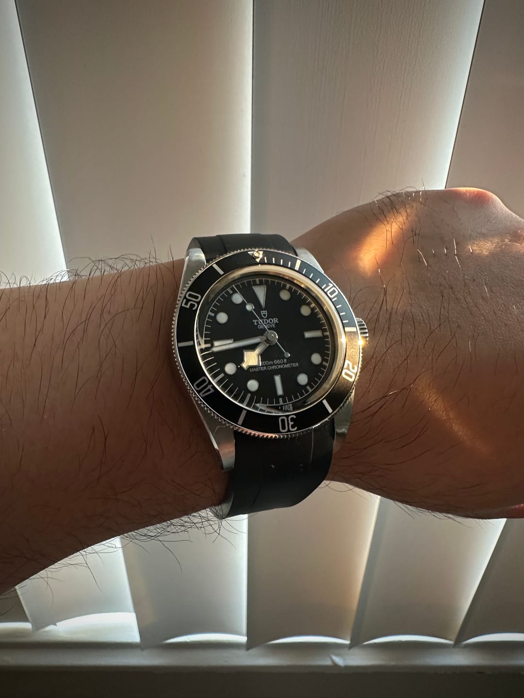 Customer photo review of Pro Rubber Strap For Tudor Black Bay 41 METAS - Black