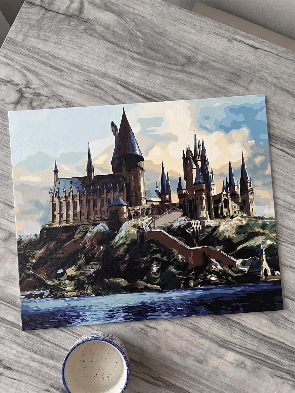 Customer photo review of Harry Potter - Château de Poudlard