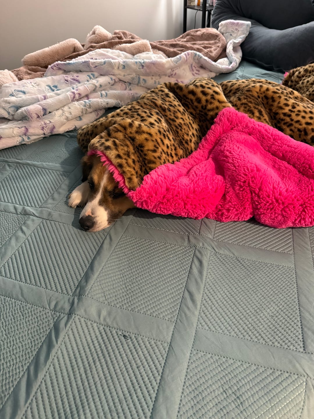 Customer photo review of Travel Size Blanket Subscription
