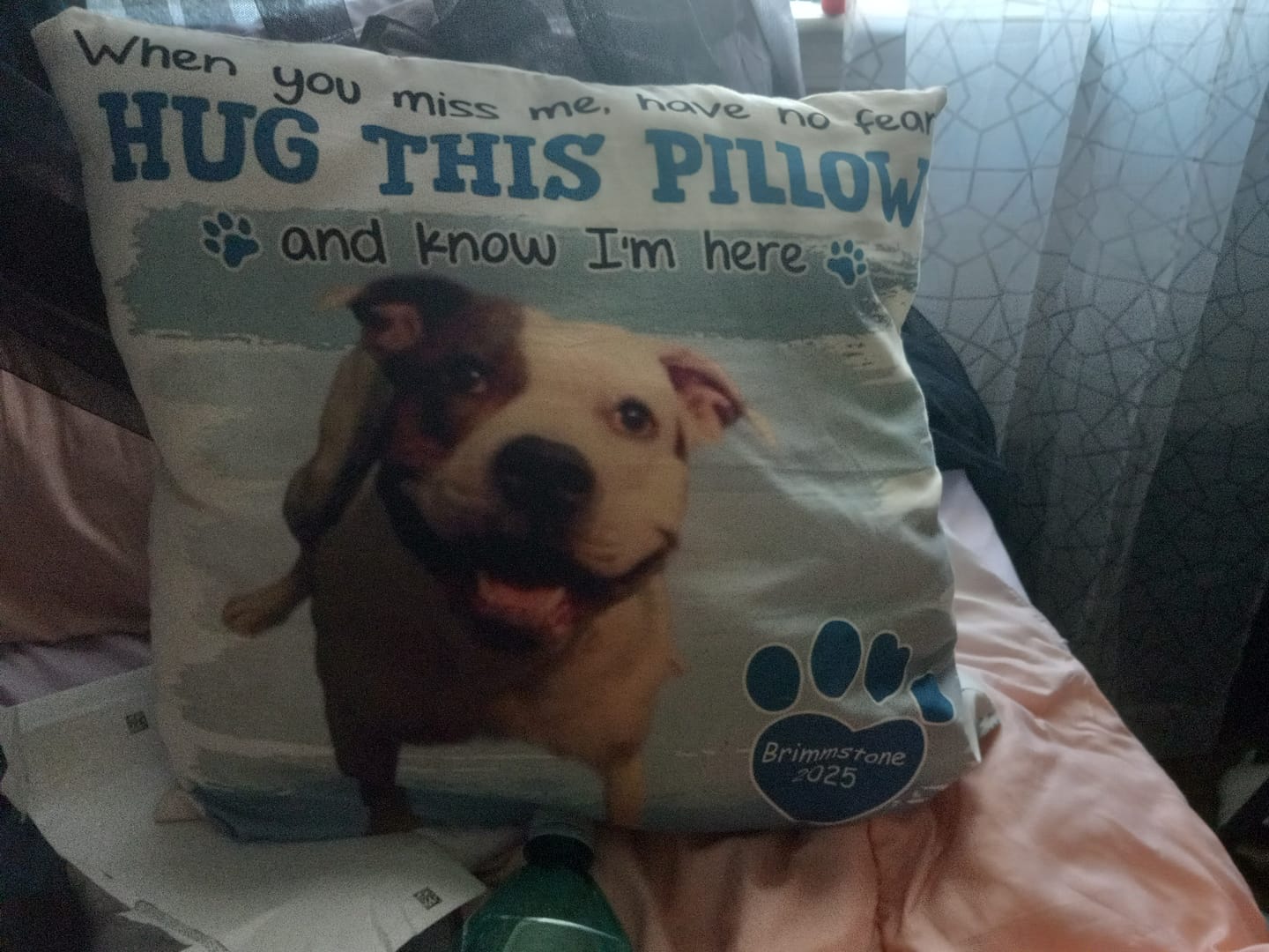 Customer photo review of Personalized Dog Memorial Photo When You Miss Me Hug This Pillow
