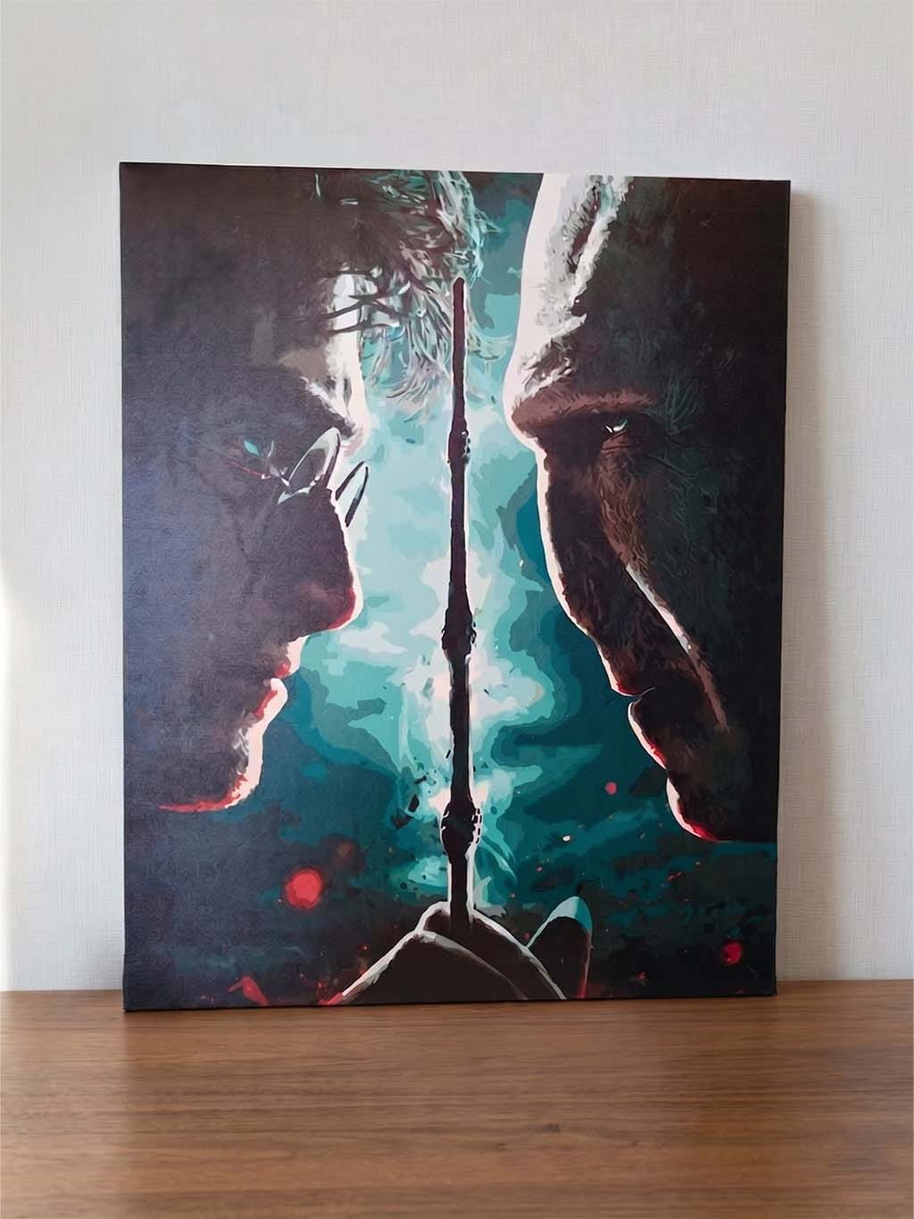 Customer photo review of Harry Potter contre Lord Voldemort