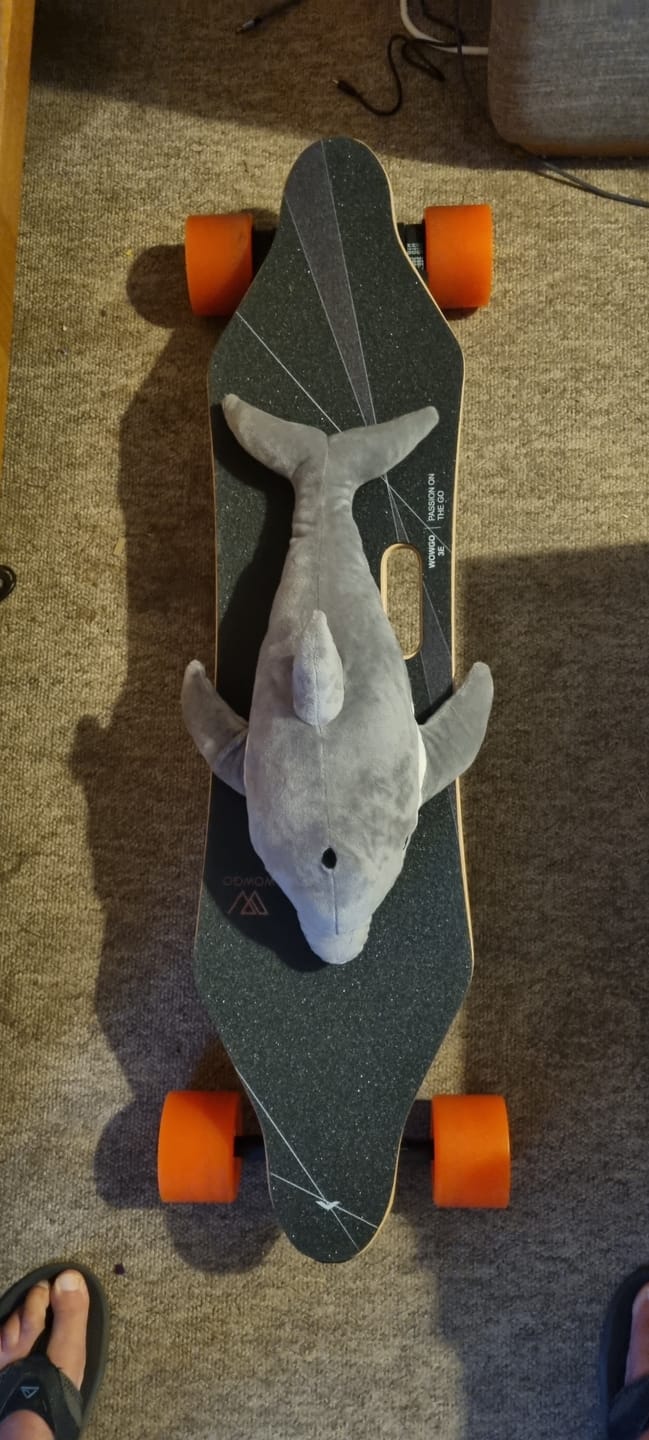 Customer photo review of WowGo 3E Electric Skateboard & Longboard